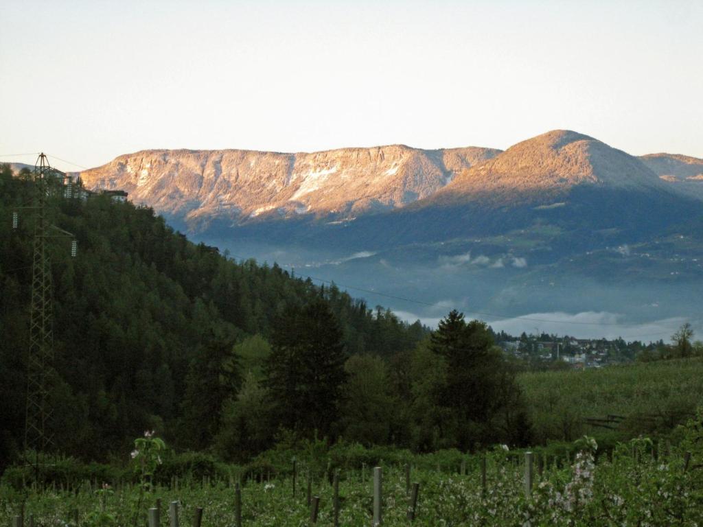 Pension Thalerhof Rifiano Extérieur photo