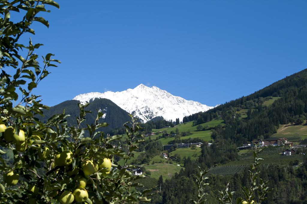 Pension Thalerhof Rifiano Extérieur photo